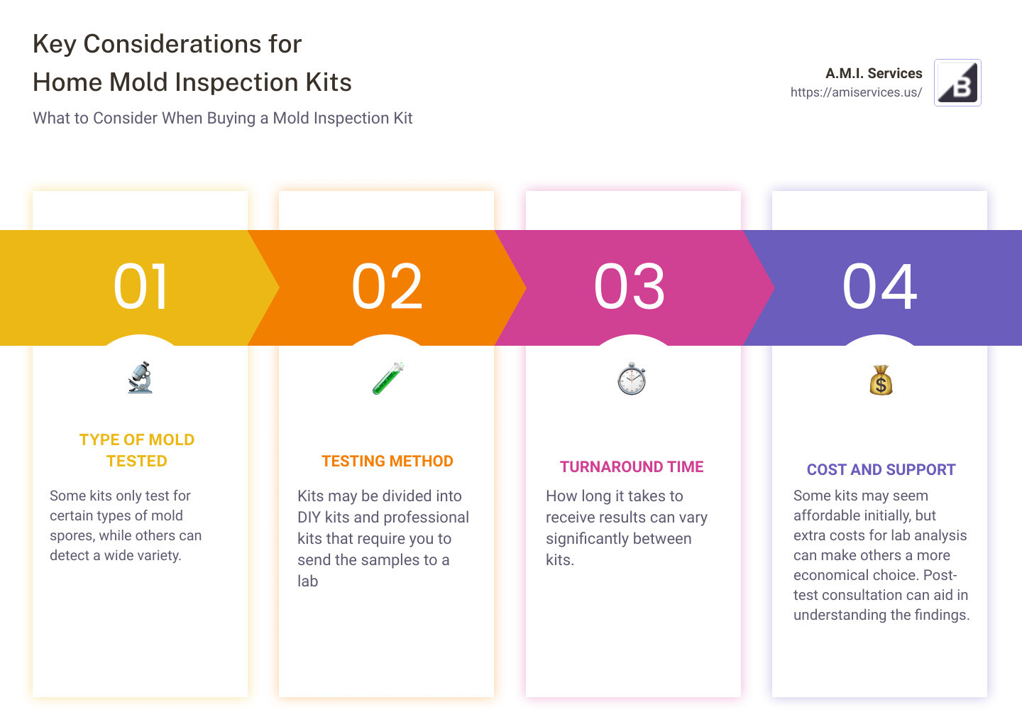 Different types of mold and where they can potentially hide in homes - home mold inspection kit infographic pillar-4-steps