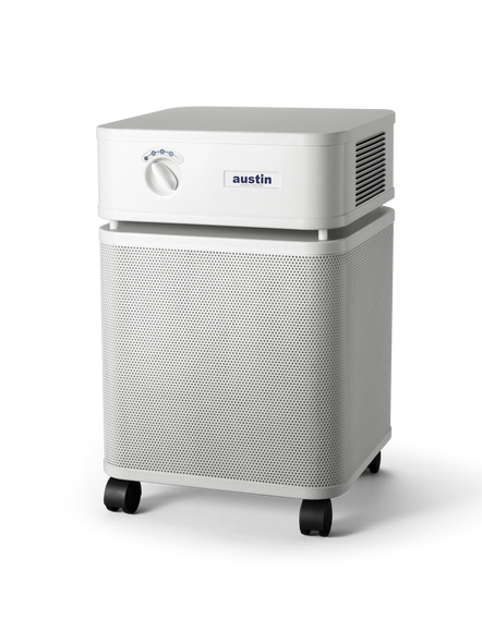 Austin Air Allergy Machine Air Purifier Sandstone